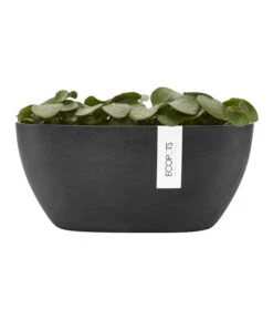 Ecopots Kunststoff-Schale Sofia Mit Wassersystem, Oval, Dunkelgrau, Ca. B30/H13,5/T13 Cm 9 Ecopots Kunststoff-Schale Sofia Mit Wassersystem, Oval, Dunkelgrau, Ca. B30/H13,5/T13 Cm -Garten Und Außenbereich 6614929 WE FS 004 EcopotsKunststoffSchaleSofiamitWassersystemovaldunkelgrau