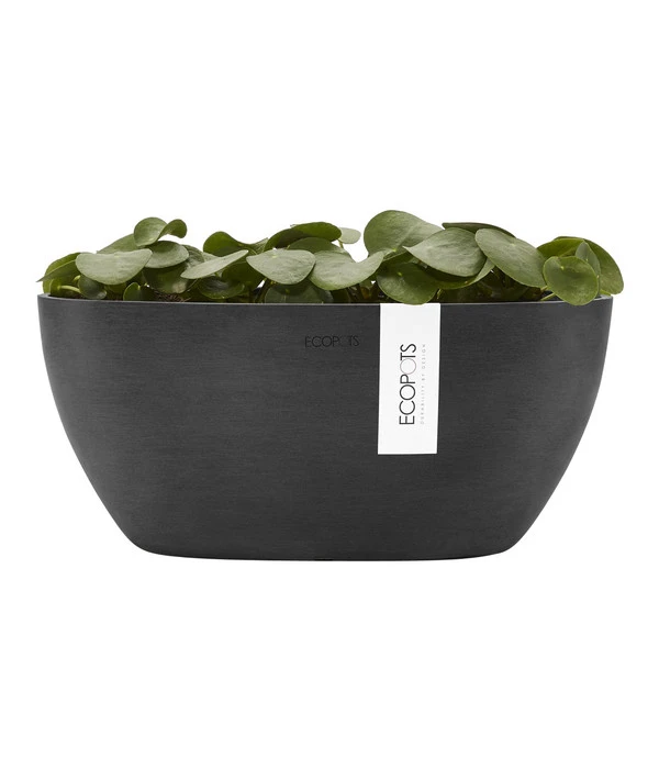 Ecopots Kunststoff-Schale Sofia Mit Wassersystem, Oval, Dunkelgrau, Ca. B30/H13,5/T13 Cm 4 Ecopots Kunststoff-Schale Sofia Mit Wassersystem, Oval, Dunkelgrau, Ca. B30/H13,5/T13 Cm – Bild 4