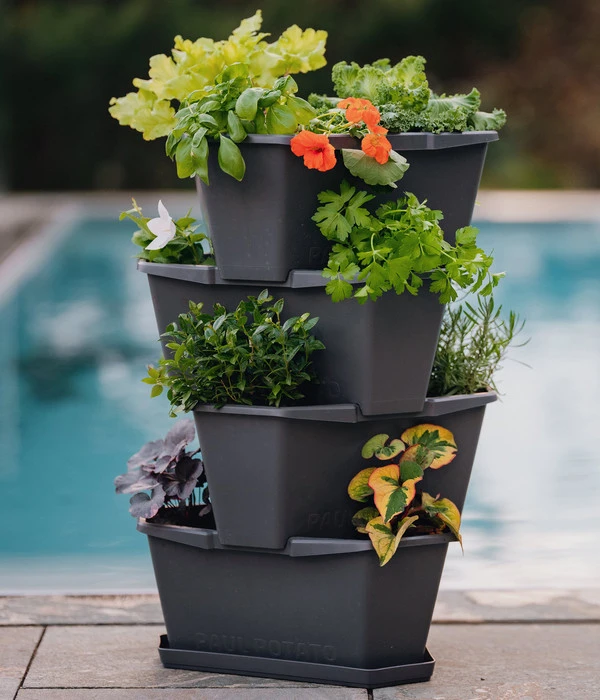 Gusta Garden Kartoffelturm Paul Potato Starter 4 Etagen, Ca. B44/H65/T44 Cm 3 Gusta Garden Kartoffelturm Paul Potato Starter 4 Etagen, Ca. B44/H65/T44 Cm – Bild 3