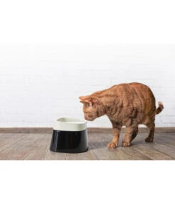 SAVIC Wassernapf Ergo Cube, Ca. B22/T22/H16 Cm -Garten Und Außenbereich 6628093 WE MO 001 SavicErgoCubWassernapf