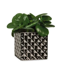 Scheurich Keramik-Übertopf Titanium, Quadratisch, Silber -Garten Und Außenbereich 6642060 WE FS 003 TopfTataniumSilber