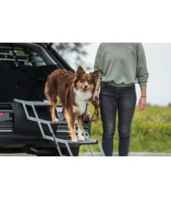 Trixie Falt-Treppe, Grau, Ca. B37/H60-70/T140-160 Cm 16 Trixie Falt-Treppe, Grau, Ca. B37/H60-70/T140-160 Cm -Garten Und Außenbereich 6642896 WE MO 002 TrixieHZbhEinstiegshilfeTreppe