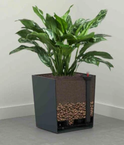 Siena Garden Kunststoff-Topf Biron, Eckig, Ca. B40/H41,5/T40 Cm -Garten Und Außenbereich 6655336 WE DE 002 PflanzgefaessBironGraphit