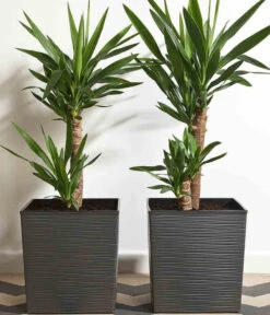 Siena Garden Kunststoff-Topf Biron, Eckig, Ca. B40/H41,5/T40 Cm -Garten Und Außenbereich 6655336 WE MO 002 PflanzgefaessBironGraphit