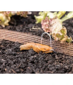 Windhager Schneckenzaun, Ca. L8 M -Garten Und Außenbereich 6663322 WE MO 001 WindhagerSchneckenzaun