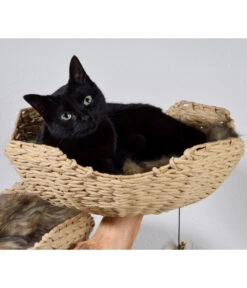 Dobar Petlife Design-Katzenmöbel Tony, Ca. B60/H111/T45 Cm -Garten Und Außenbereich 6689756 WE MO 003 DobarKatzenKratzbaumTony
