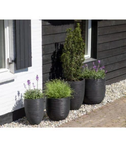 Capi Europe Kunststoff-Topf Rib Hoch, Rund -Garten Und Außenbereich 6697304 WE MO 002 CapiEuropeKunststoffTopfRibrund