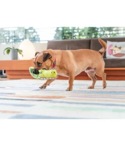 Red Dingo Hundespielzeug DURABLES Toys Krokodil -Garten Und Außenbereich 6912364 WE MO 002 RedDingoSpzKrokodil