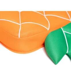 Westmann Pool-Buddy Ananas -Garten Und Außenbereich 6935555 WE DE 001 WestmannPoolbuddyAnanasOrange