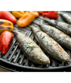 CADAC Gasgrill Grillo Chef 40 -Garten Und Außenbereich 6961742 6961759 WE MO 001 Cadac GasgrillGrilloChef40