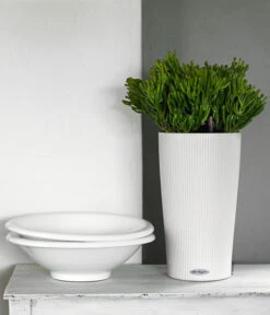 LECHUZA® CILINDRO Color, All-in-One Set 9 LECHUZA® CILINDRO Color, All-in-One Set -Garten Und Außenbereich 6963318 WE MO 03 CilindroColorWeiss