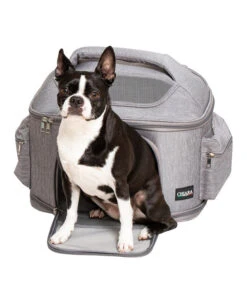 CHIARA® Transportbox SKY, Ca. B42/H34/T30 Cm -Garten Und Außenbereich 6971048 6971030 WE MO 003 PuppiaChiaraTransportboxSkyGrau