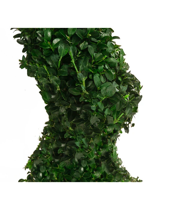 Buchs, Spirale 2 Buchs, Spirale – Bild 2