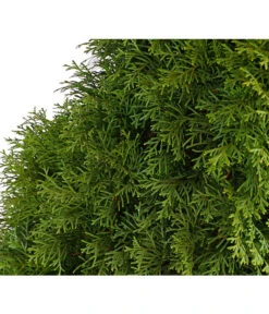 18 Meter Lebensbaum 'Smaragd', 60 X Ca. 60-80 Cm -Garten Und Außenbereich 7513534 WE DE 001 ThujaLebensbaumOccidentalisSmaragd20LDehnerExpressHerzig 1