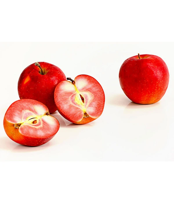 Rotfleischiger Apfel 'Baya Marisa' 1 Rotfleischiger Apfel 'Baya Marisa'