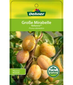 Dehner Mirabelle 'Bellamira' -Garten Und Außenbereich 7611163 GrosseMirabelleBellamira Etikett 1