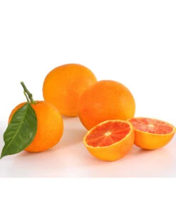 Blutorange -Garten Und Außenbereich 7622756 PR DE 001 Blutorange Herzig