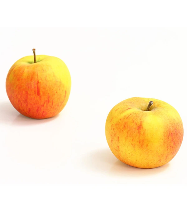 Winterapfel 'Goldparmäne' 1 Winterapfel 'Goldparmäne'