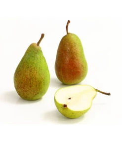 Sommerbirne 'Gute Luise' -Garten Und Außenbereich 7658578 WE DE 006 BirneGuteLuiseDehnerExpressHerzig