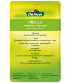 Dehner Pfirsich 'Kernechter Vom Vorgebirge' -Garten Und Außenbereich 7695505 PfirsichKernechterVomVorgebirge Etikett 2