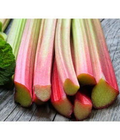 Bestseller 15 Dehner Gourmet Garten Himbeer-Rhabarber