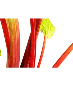 Dehner Gourmet Garten Himbeer-Rhabarber 6 Dehner Gourmet Garten Himbeer-Rhabarber -Garten Und Außenbereich 7736028 PR DE 002 RhabarberHimbeere2LiterDehnerExpressHerzig