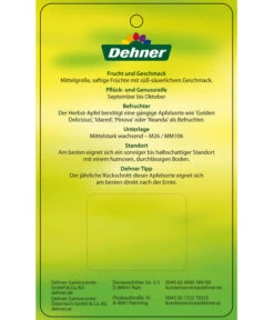 Herbstapfel 'Rebella' -Garten Und Außenbereich 7737075 HerbstapfelRebella Etikett 2