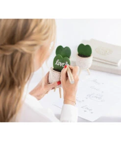 Dehner Beton-Übertopf Gaby, Rund, Ca. Ø7,5 Cm -Garten Und Außenbereich 7978075 WE MO 001 HoyaKerriiHerzblattReelValentin202303