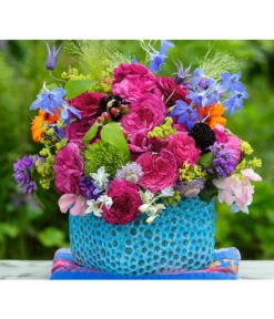 Beetrose 'Kaffe Fassett®' -Garten Und Außenbereich 7988181 PR DE 004 EdelroseKaffeFassettTantau