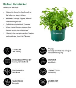 Bestseller -Garten Und Außenbereich 8002008 WE IG 001 BiolandLiebstoeckel