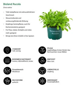 Bestseller -Garten Und Außenbereich 8002222 WE IG 001 BiolandRucola
