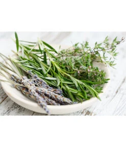 Dehner Gourmet Garten Hänge-Rosmarin -Garten Und Außenbereich 8035750 WE MO 001 RosmarinCapriPixabay