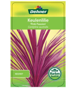 Keulenlilie 'Pink Passion' -Garten Und Außenbereich 8261828 CorylinePinkPassionEtikett1