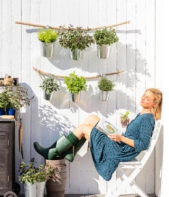 Dehner Gourmet Garten Oregano 6 Dehner Gourmet Garten Oregano -Garten Und Außenbereich 8610123 WE MO 001 Oregano Kraeuter 1