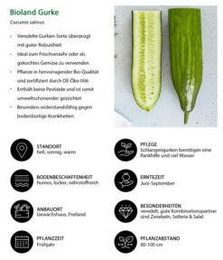 Bioland Gurke, Veredelt -Garten Und Außenbereich 8830853 WE IG 001 BiolandGurke
