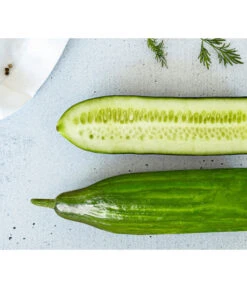 Bestseller 15 Bioland Gurke, Veredelt