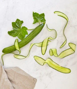 Bioland Gurke, Veredelt -Garten Und Außenbereich 8830853 WE MO 001 SchlangengurkeveredeltRenner