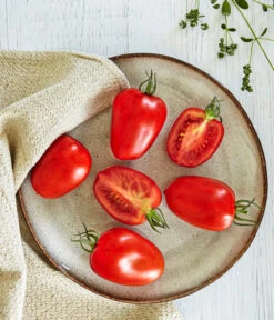 Bioland Eiertomate -Garten Und Außenbereich 8831463 WE MO 001 BiolandEiertomate