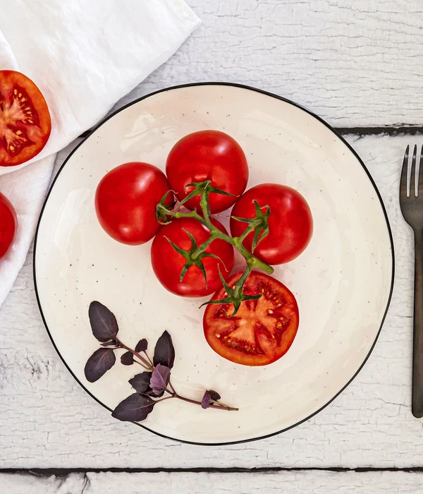 Bioland Buschtomate 3 Bioland Buschtomate – Bild 3