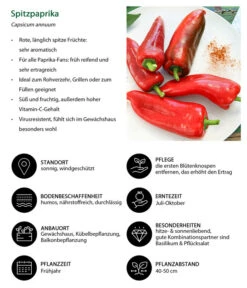 Spitzpaprika, Rot -Garten Und Außenbereich 8833501 WE IG 001 Spitzpaprika