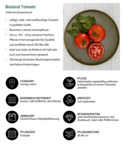Bioland Tomate, Rundfruchtig -Garten Und Außenbereich 8842619 WE IG 001 BiolandTomate