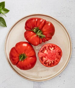 Bioland Fleischtomate 7 Bioland Fleischtomate -Garten Und Außenbereich 8842627 WE MO 001 BiolandFleischtomate