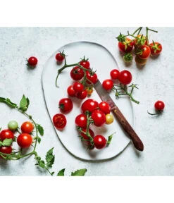 Bioland Cherrytomate -Garten Und Außenbereich 8842635 WE MO 002 Bio Cherrytomate