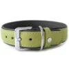 Das Lederband Hundehalsband Style Amsterdam Lime/Lava