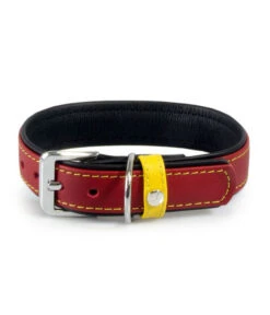 Das Lederband Hundehalsband Frankfurt