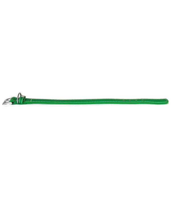 Das Lederband Hundehalsband Style Barcelona Summer-Green 2 Das Lederband Hundehalsband Style Barcelona Summer-Green – Bild 2