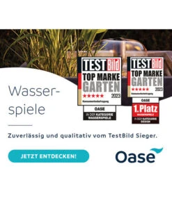 Oase Wasserspiel Aquarius Fountain-Set Classic 750 -Garten Und Außenbereich OaseTestsiegerWasserspiele