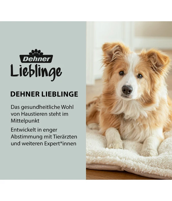 Dehner Lieblinge Wundkompresse Für Hunde & Katzen 4 Dehner Lieblinge Wundkompresse Für Hunde & Katzen – Bild 4