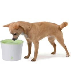 Catit Fresh & Clear Trinkbrunnen, 3 L -Garten Und Außenbereich X005335450 BildM 001 CatitTrinkbrunnenHund